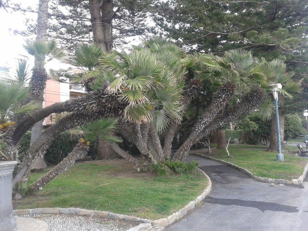 Hotel Duarte بورديغيرا المظهر الخارجي الصورة
